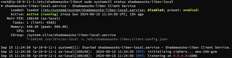 在Ubuntu 啟動 Shadowrocket(ss) 並激活socks5